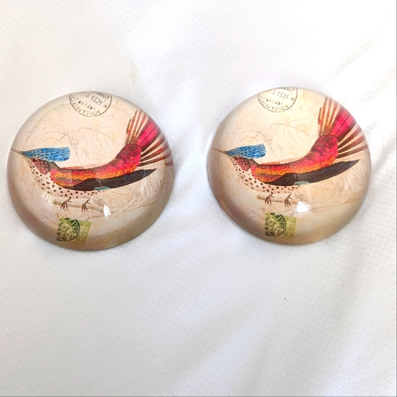 Pair of glass dome shaped paper weights. Pheasant like Bird graphics. - Picture 1 of 8